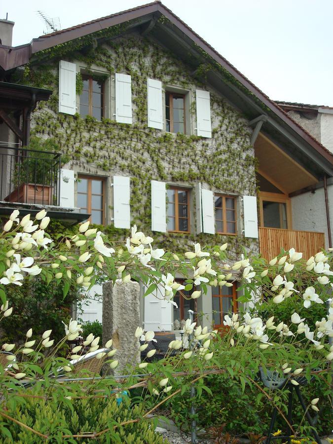 Wonderlandscape Guest House Le Grand Saconnex Zewnętrze zdjęcie